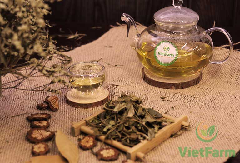 Mua dây thìa canh Vietfarm để có những tách trà thơm ngon, bổ dưỡng