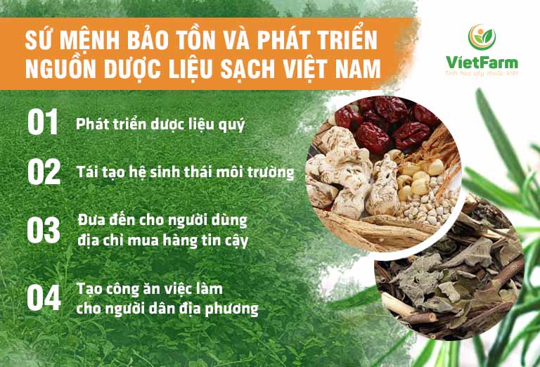 Vietfarm và sứ mệnh nâng tầm cây thuốc Việt