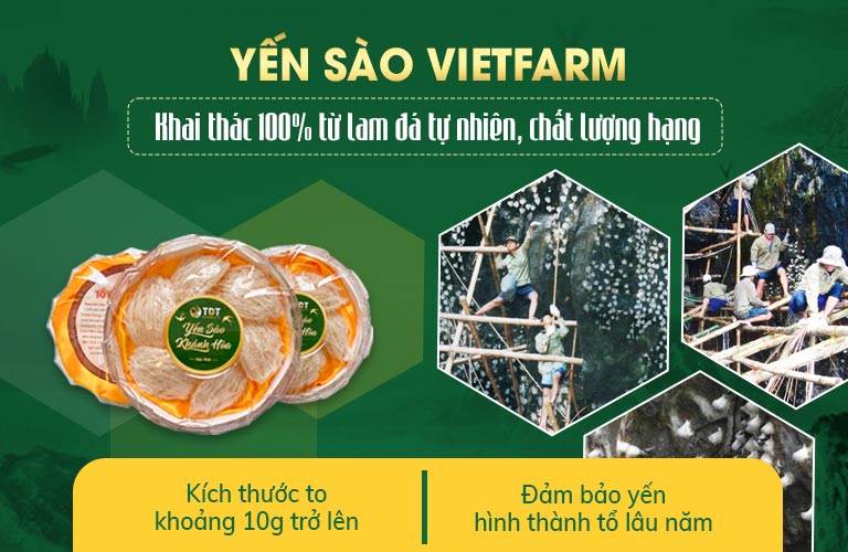 Trung tâm Vietfarm cung cấp yến sào tự nhiên thượng hạng