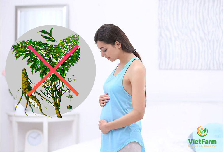 Phụ nữ có thai không nên sử dụng đinh lăng