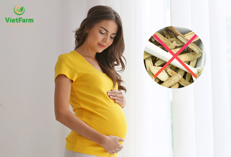 Phụ nữ mang thai không nên sử dụng cam thảo