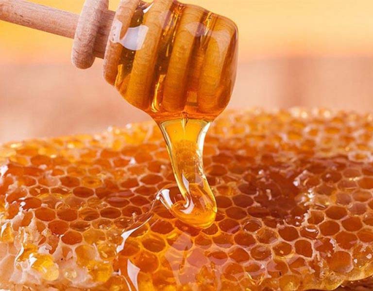 Sáp ong có chứa thành phần ngăn cản sự phát triển của vi khuẩn