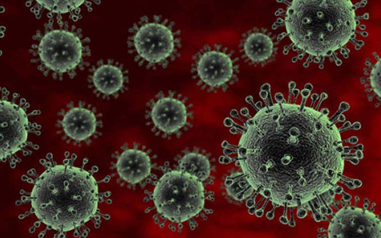 Virus vi khuẩn là hai nguyên nhân chính gây bệnh