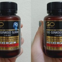 go ginkgo 9000