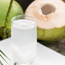 [Giải Đáp] Uống Nước Dừa Có Tác Dụng Gì? Bật Mí 21 Công Dụng