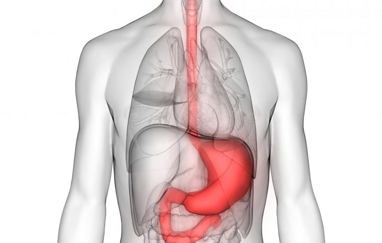 Bệnh trào ngược dạ dày thực quản K21 là một bệnh lý phổ biến của đường tiêu hóa