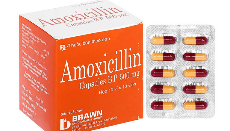 Amoxicillin được dùng hầu hết trong các phác đồ thuốc