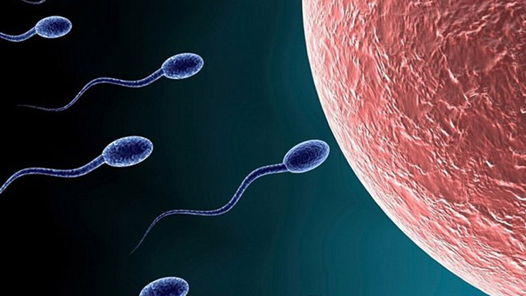 Tinh trùng yếu có thể thụ thai được không - Câu trả lời là có