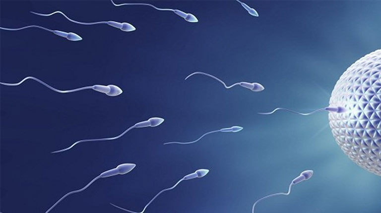 Tinh trùng loãng có mang thai được không được nhiều người quan tâm hiện nay