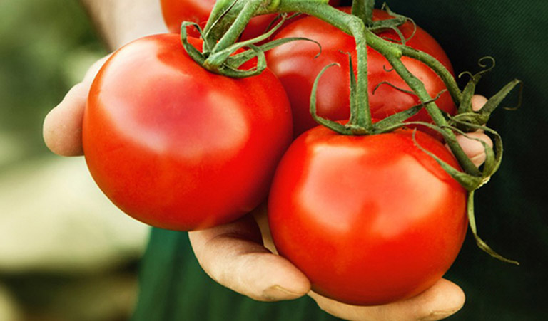 Cà chua - loại quả giúp cải thiện tinh trùng loãng hiệu quả
