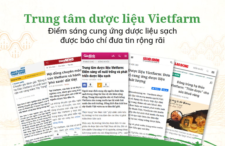 Trung tâm dược liệu Vietfarm được nhiều báo chí đưa tin, đánh giá cao