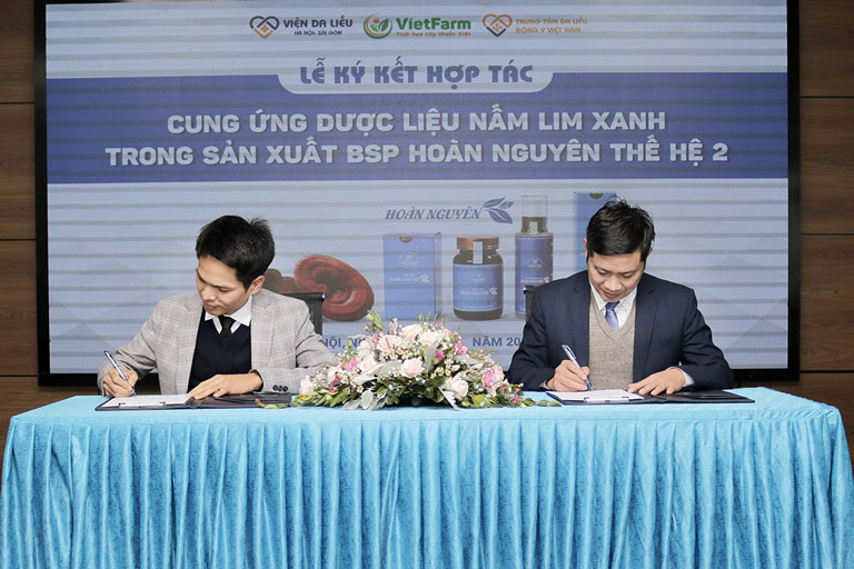 Trung tâm Vietfarm cung cấp độc quyền nấm lim xanh cho Trung tâm Da liễu Đông y Việt Nam