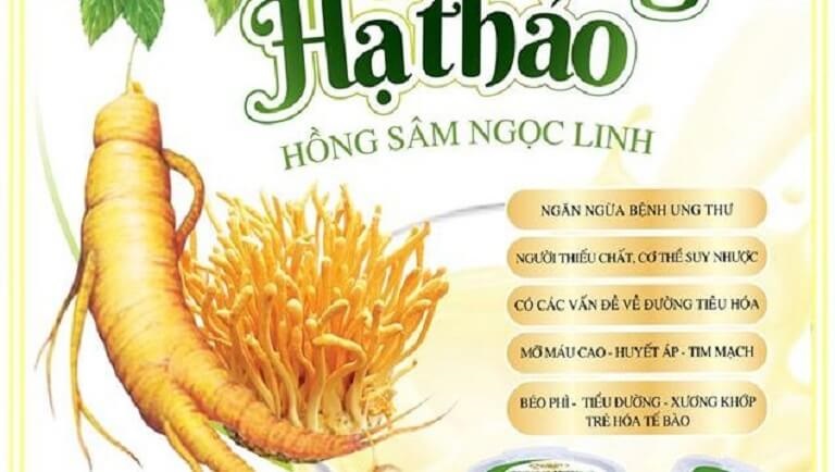 Sản phẩm đã và đang chiếm trọn lòng tin người tiêu dùng Việt
