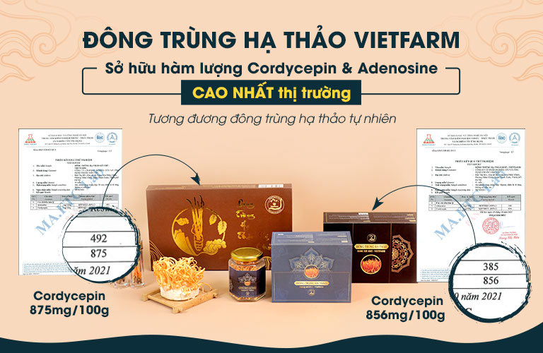 Đông trùng hạ thảo Vietfarm sở hữu hàm lượng Cordycepin & Adenosine cao nhất thị trường, tiện cận với đông trùng hạ thảo Tây Tạng